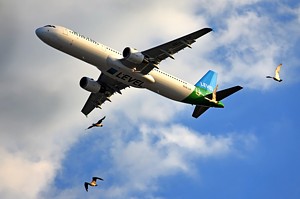 Level Airbus A321 OE-LCF