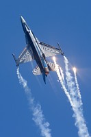 Belgian Air Force F-16_1
