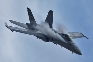 Switzerland - Air Force Boeing F/A-18 Hornet J-5010